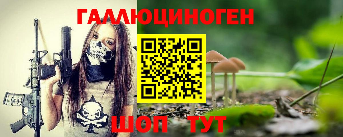 Псилоцибиновые грибы Cubensis  Вход с VPN  Новоалтайск 